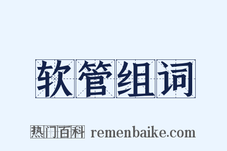 软管组词是什么意思的图片